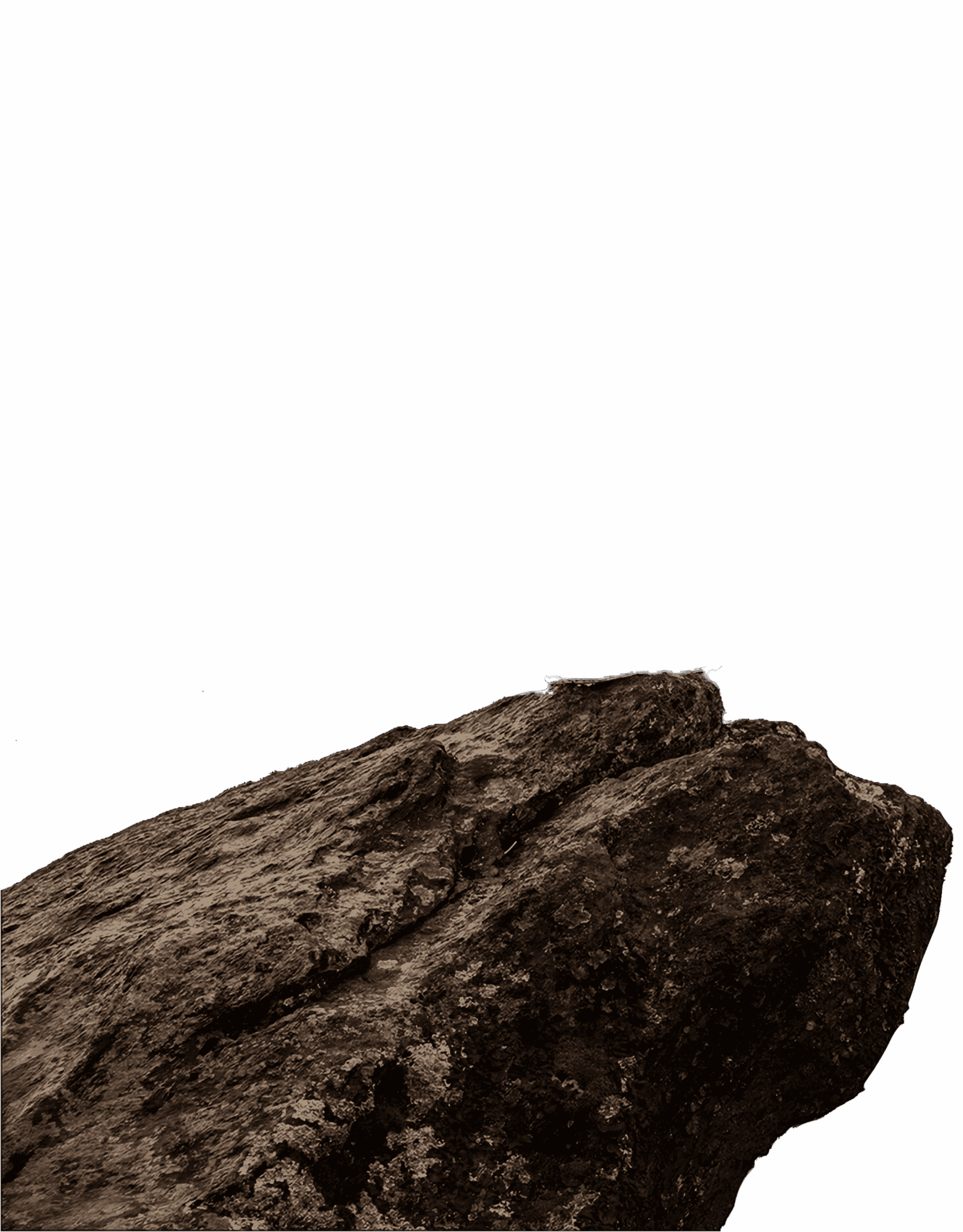 Rugged rock macro with lichen and moss on black background, textured natural geology.