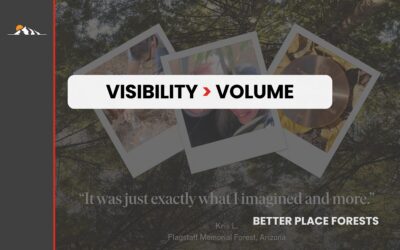 A 30% CPL Reduction at Half a Million in Monthly Spend