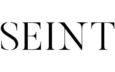 SEINT logo